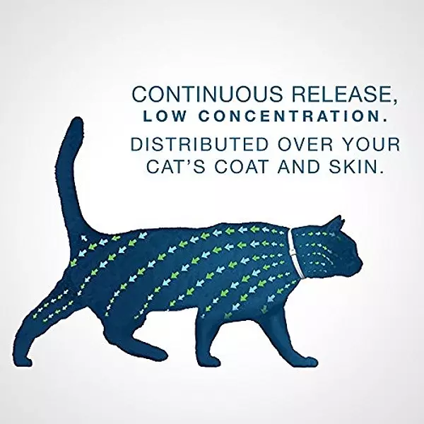 Salud y Equipamiento Médico - Collar De Pulgas Y Garrapatas Bayer Seresto Para Gato Todos 5