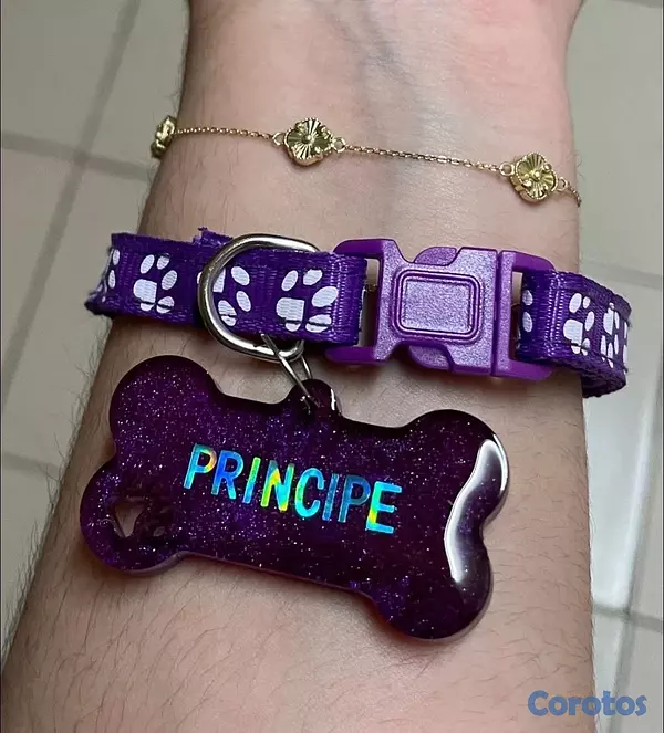 animales y mascotas - Chapillas y collares personalizados para perros y gatos 2