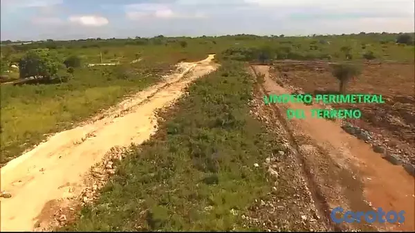 solares y terrenos - VENTA SOLAR EN LA CALETA-BOCA CHICA 3