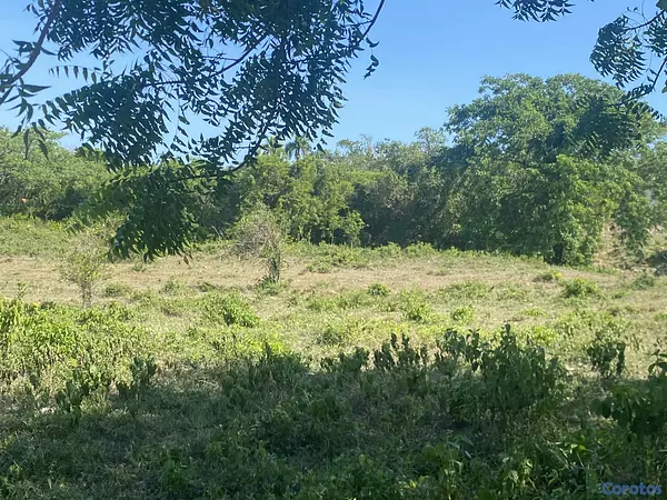 solares y terrenos - terreno para proyecto en sosua  3