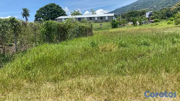 solares y terrenos - Solar en venta en Pinar Quemado Abajo, Brisas del Yaque  2