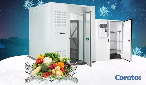 servicios profesionales - Fabricación e instalación de cuarto frío de media y baja temperatura  2