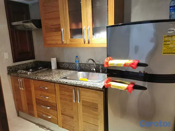 apartamentos - Apartamento en venta y alquiler en Malecon Center  4
