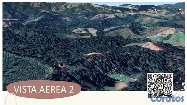 solares y terrenos - FINCA EN CONSTANZA 8