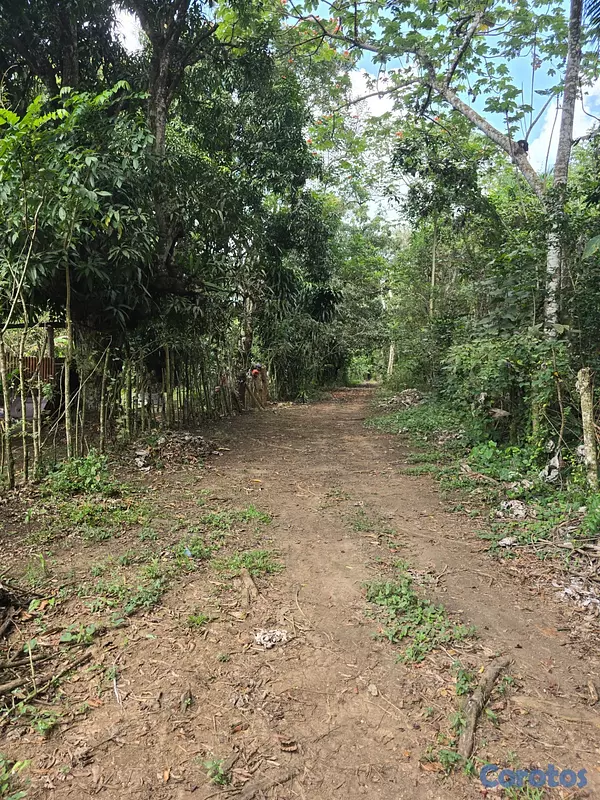solares y terrenos - Venta de finquitas con su título en La Victoria 2