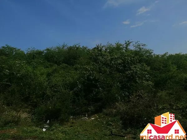 solares y terrenos - Solar Residencial de 96,500 metros en Boca Chica  2