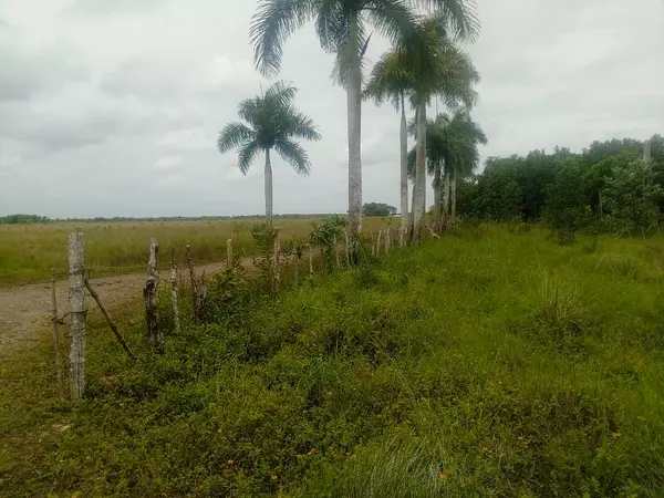 solares y terrenos - finca ganadera en bayaguana  5