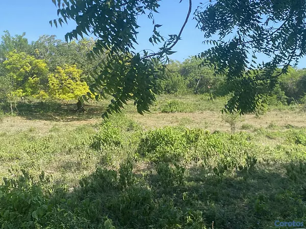 solares y terrenos - terreno para proyecto en sosua  4