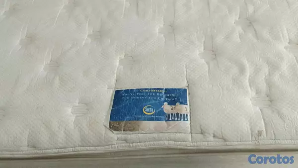 muebles y colchones - Colchon King con doble pillow top 4