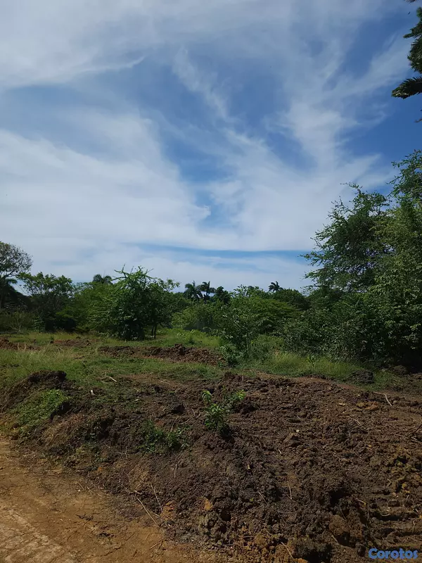 solares y terrenos - 🌿 Terrenos en Venta – Muñoz, Puerto Plata 📍 7
