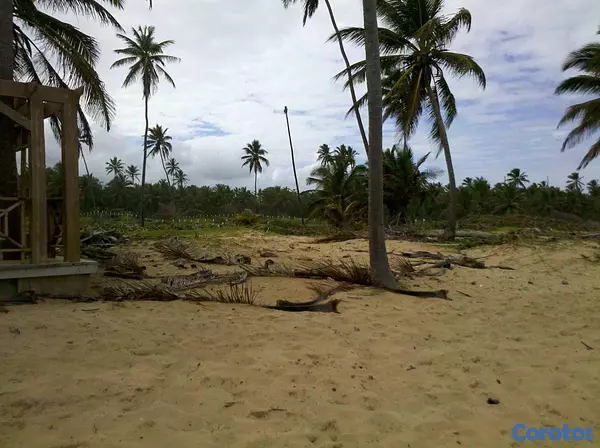 solares y terrenos - Gran Solar de Playa Uvero Alto con documentos  10