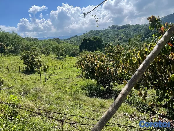 solares y terrenos - Terreno en lugar privilegiado solo uno 2611 MT 
Título Deslindado  6