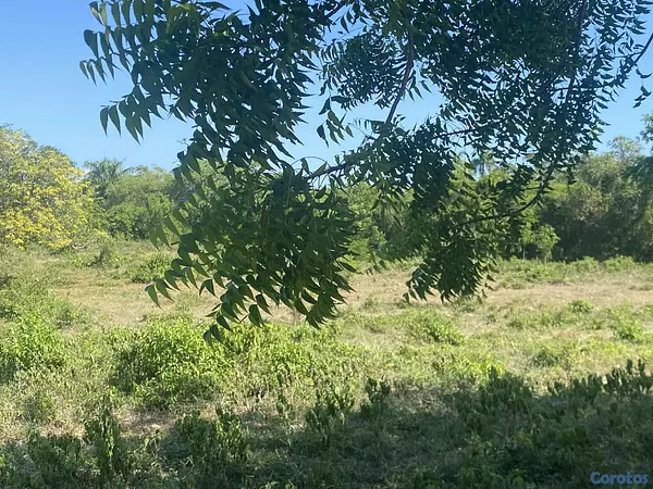 solares y terrenos - terreno para proyecto en sosua  5