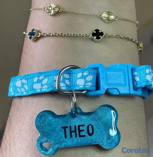 animales y mascotas - Chapillas y collares personalizados para perros y gatos 4