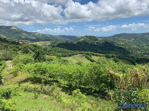 solares y terrenos - finca ganadería en villa trina  6