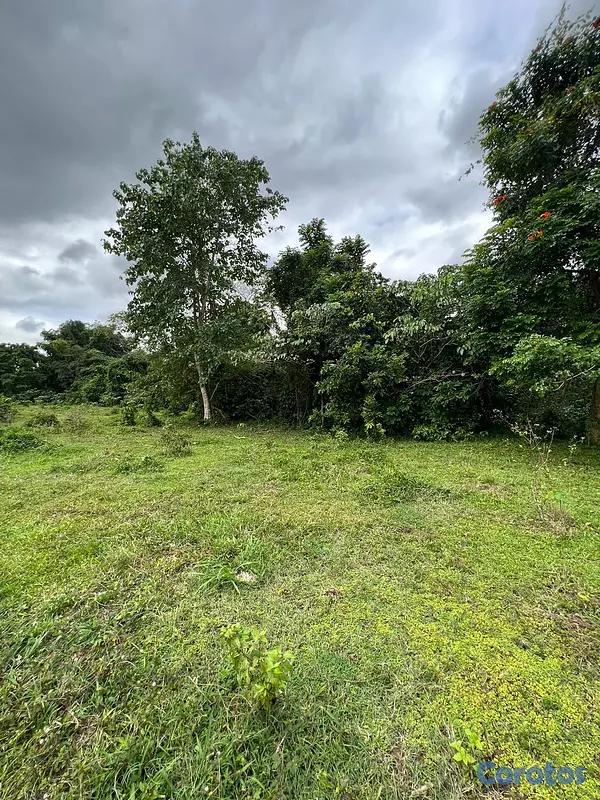 solares y terrenos - FINCA PARA DESARROLLO Y GANADERIA DE ALTO VALOR PR 3