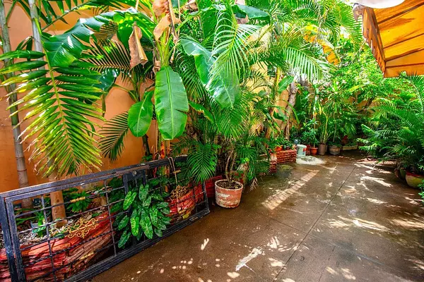 apartamentos - Se vende apartamento en Urbanización Tropical 5