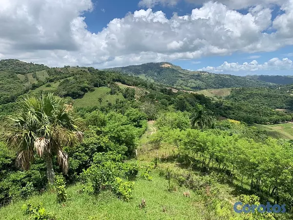 solares y terrenos - finca ganadería en villa trina  4