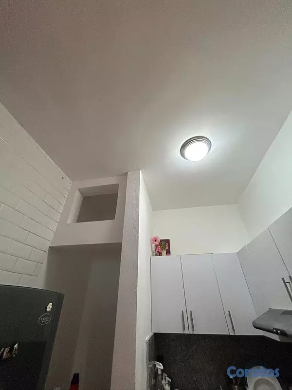 apartamentos - Apartamento en Venta y Renta en Julieta Morales, S 7