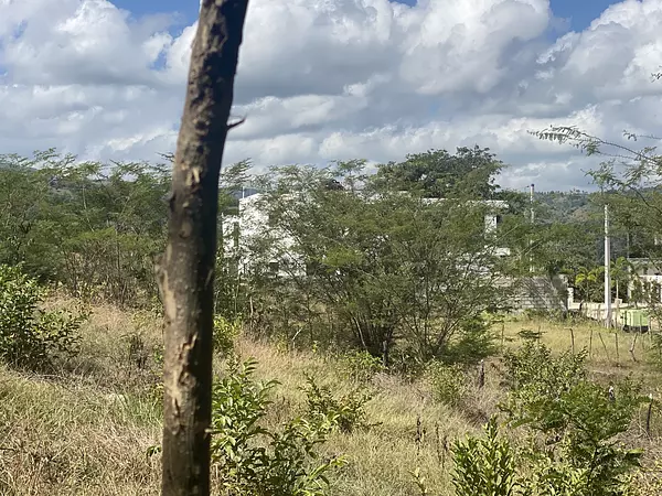 solares y terrenos - solar de 216 mts de venta en Camu  6
