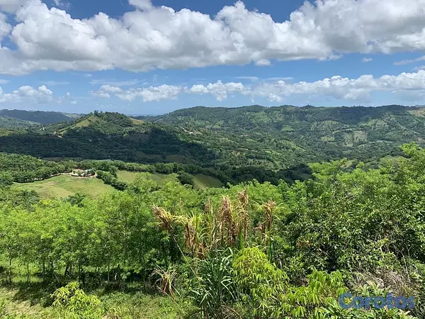 solares y terrenos - finca ganadería en villa trina  5