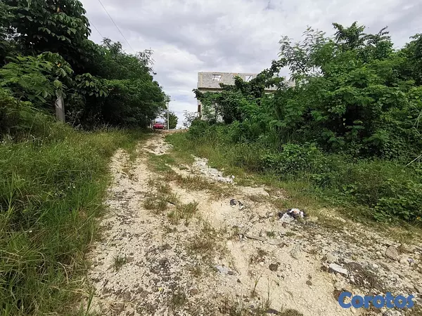 solares y terrenos - Solar en venta en Pantoja de 260 metros 3