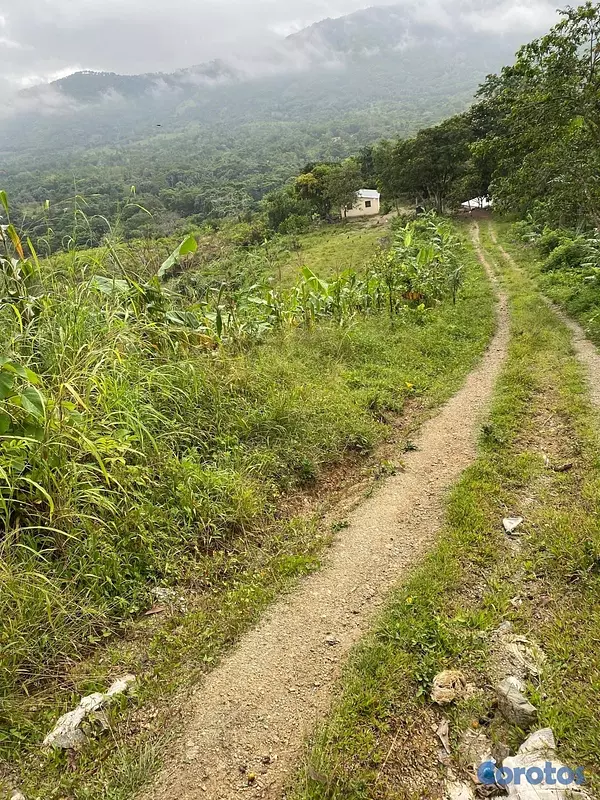 solares y terrenos - Vendo Finca en Yamasa, Monteplata 6