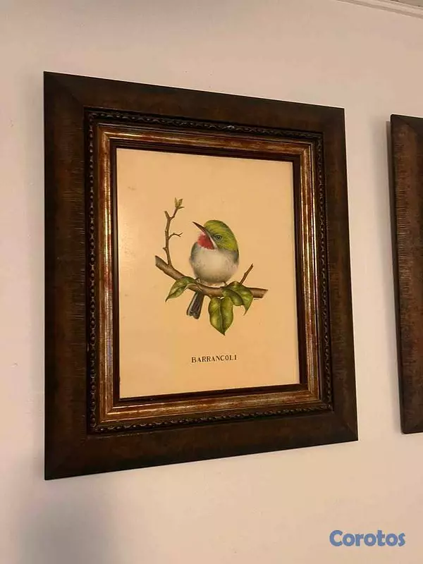 decoración y accesorios - Cuadros Exoticos 2