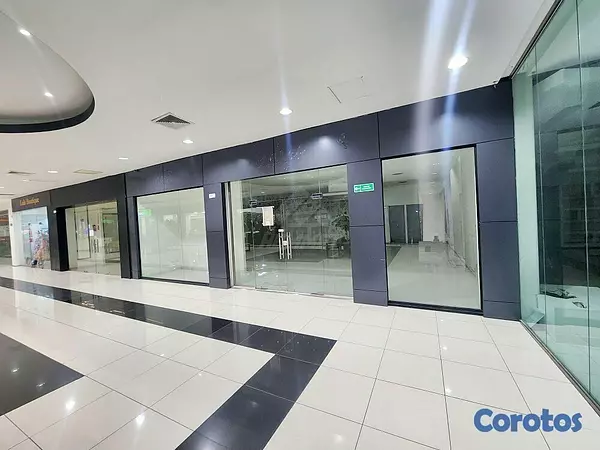 oficinas y locales comerciales - LOCAL PLAZA INTERNACIONAL 135 MTS2 PRIMER PISO SAN 3