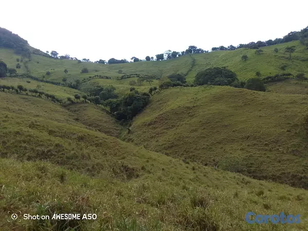 solares y terrenos - finca de 450 tareas con vocación ganadera en yamasa  15