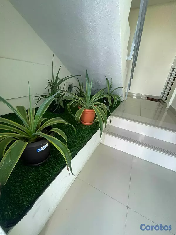 apartamentos - Apartamento en venta – Colinas del arroyo - SDN 4
