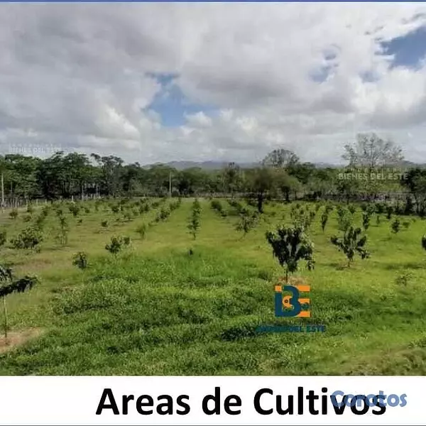 casas vacacionales y villas - 📌Se vende Finca-Hacienda en HATO MAYOR con 36 tare 8