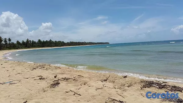 solares y terrenos - Solar con Playa en Miches de 175mil m2 4