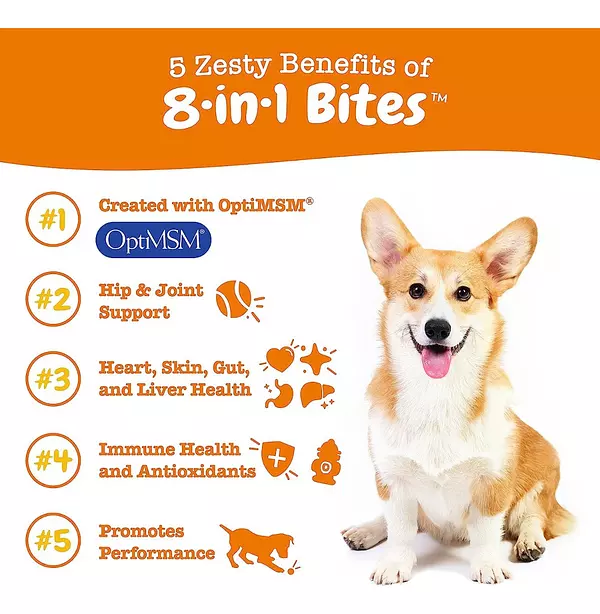 Salud y Equipamiento Médico - Zesty Paw 8 In 1 Suplemento Para Perros Multi-vitaminas 3