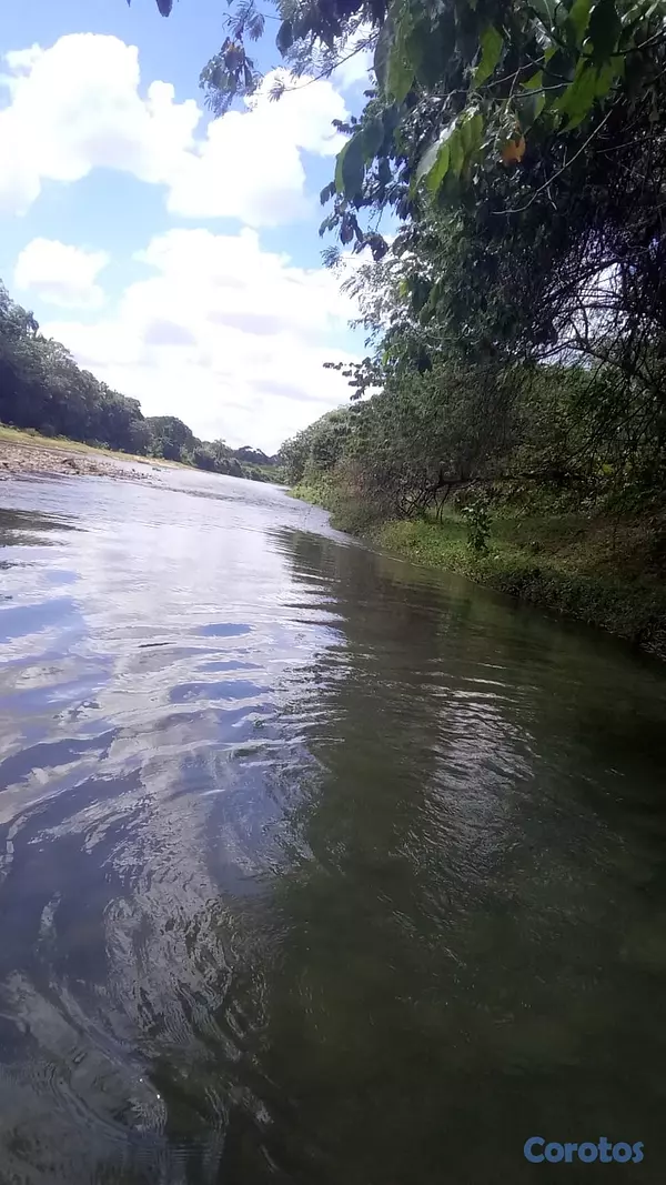 solares y terrenos - finca de 570 tareas en madre vieja sosua  5