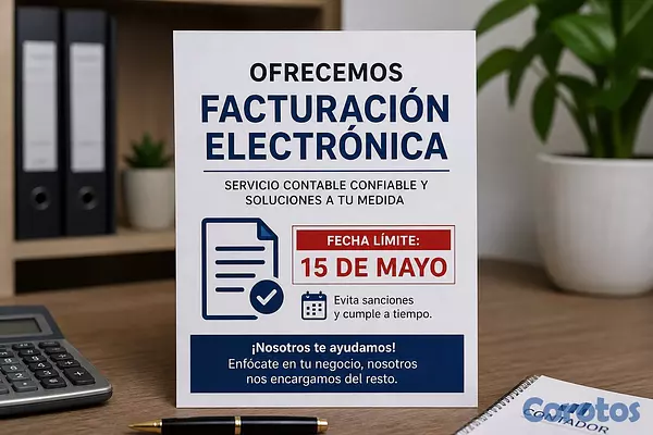 servicios profesionales - Evita Multas: Implementa tu Facturación Electrónic