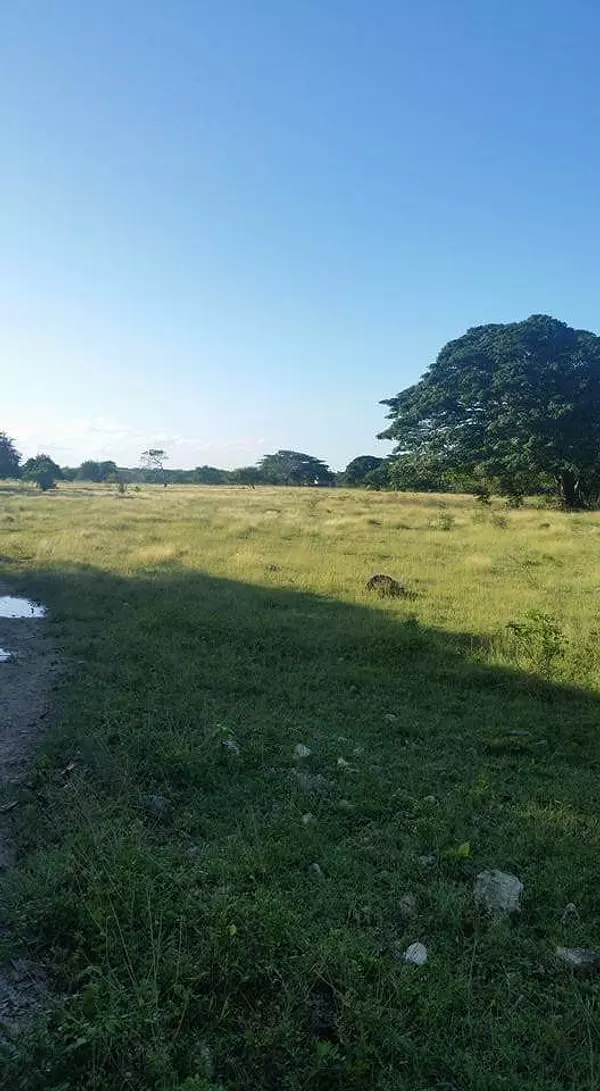 solares y terrenos - Solar 200,000 mts uvero alto  punta cana 
 1