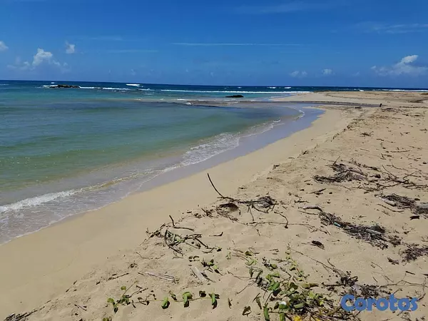 solares y terrenos - Solar con Playa en Miches de 175mil m2 5