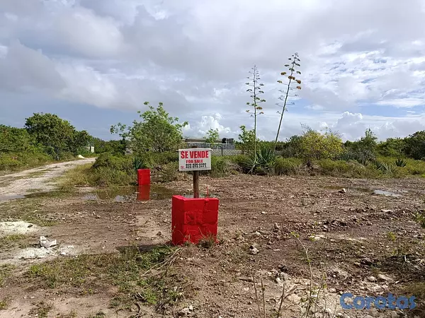 solares y terrenos - Solar venta bravo punta cana 6