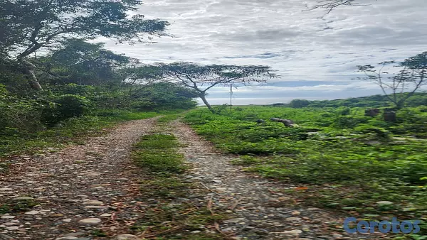 solares y terrenos - Vendo Terreno proximo a Playa Palenque con 100 metros frente al mar 5