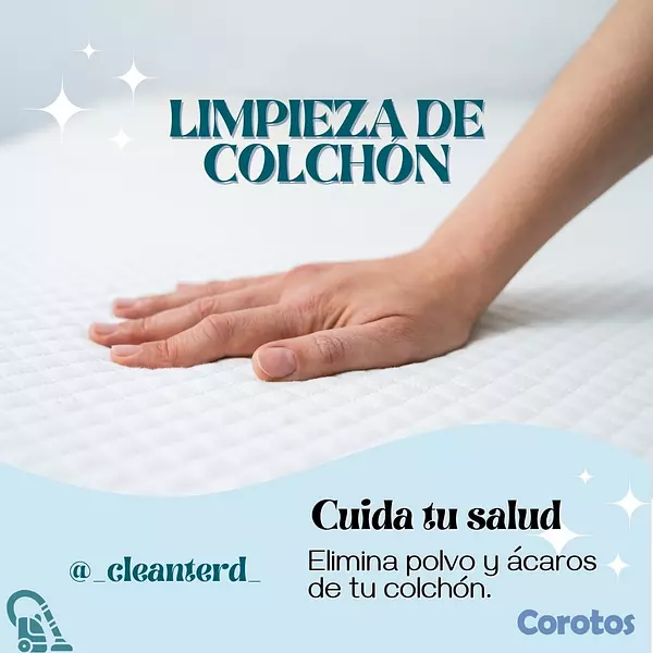 servicios profesionales - Servicio profesional de limpieza de mobiliarios. 7