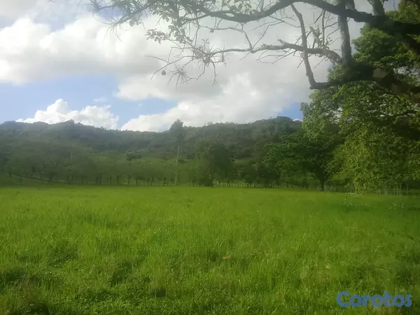 solares y terrenos - finca de 570 tareas en madre vieja sosua  8