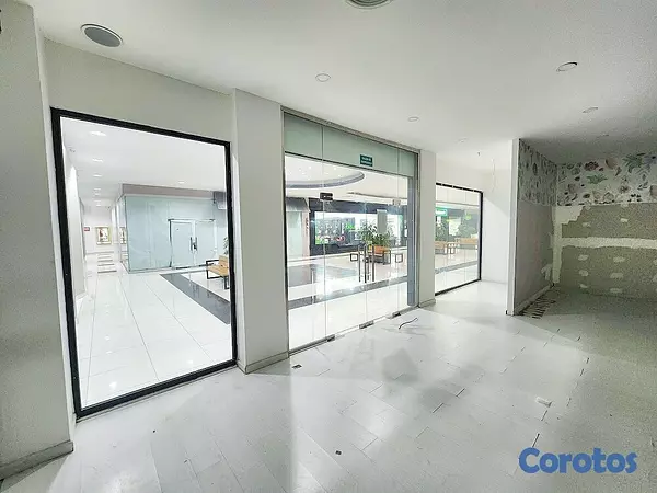 oficinas y locales comerciales - LOCAL PLAZA INTERNACIONAL 135 MTS2 PRIMER PISO SAN 2