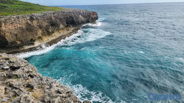 solares y terrenos - Vendo Terreno proximo a Playa Palenque con 100 metros frente al mar 6