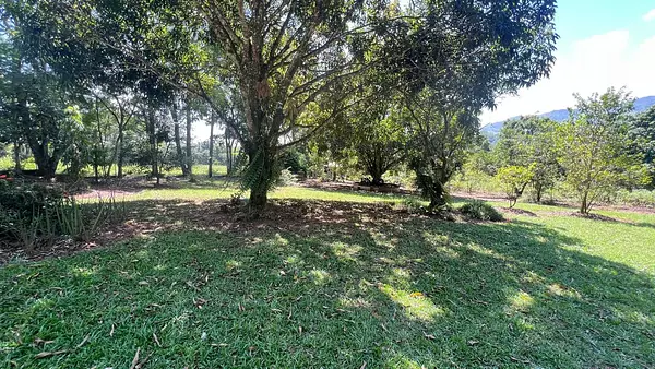 solares y terrenos - Terreno en Venta en Rancho Los Mogotes,Villa Altagracia 2