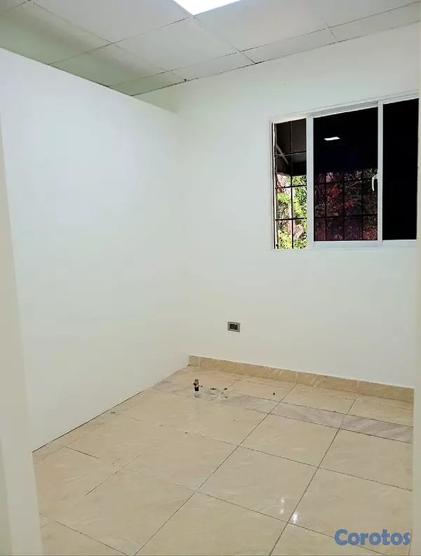 oficinas y locales comerciales - LOCAL COMERCIAL BELLA VISTA  9