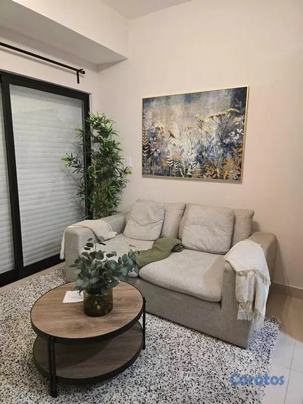 apartamentos - Apartamento en alquiler en Gazcue 4