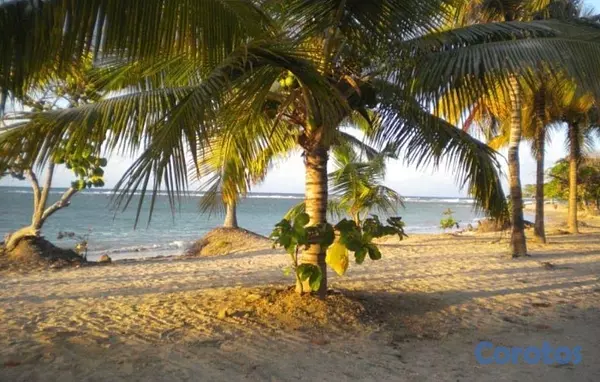 casas vacacionales y villas - the palace in puerto plata  4