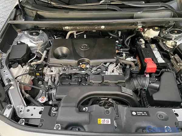 jeepetas y camionetas - Toyota RAV4 2021 7