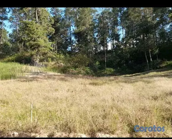 solares y terrenos - Vendo solar en Bella vista 2